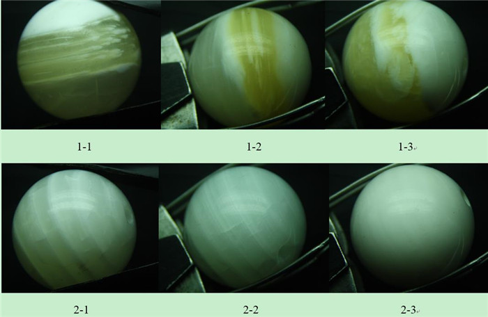砗磲的结构初探