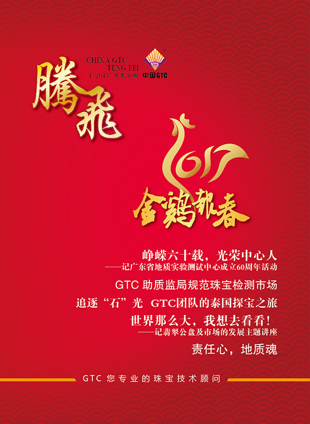 中国中诚《腾飞》内刊第30期