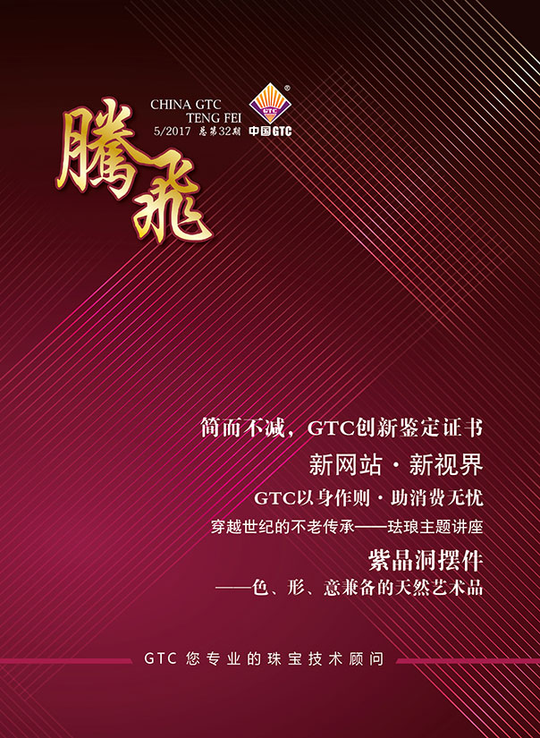 中国中诚《腾飞》内刊第32期