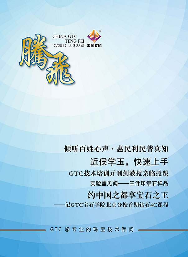 中国中诚《腾飞》内刊第33期