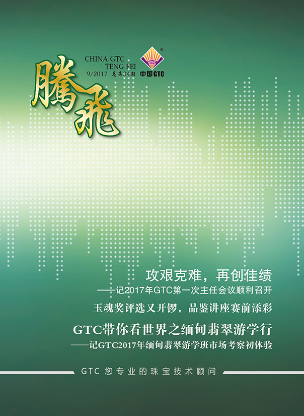 中国中诚《腾飞》内刊第34期