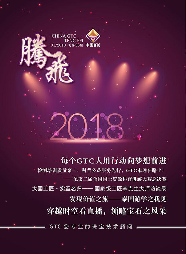 中国中诚《腾飞》内刊第36期