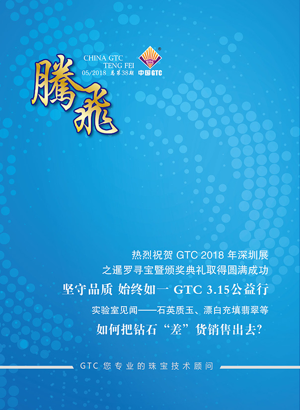中国中诚《腾飞》内刊第38期