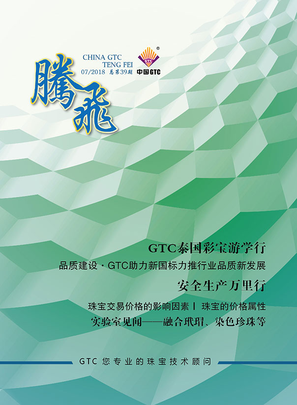 中国中诚《腾飞》内刊第39期