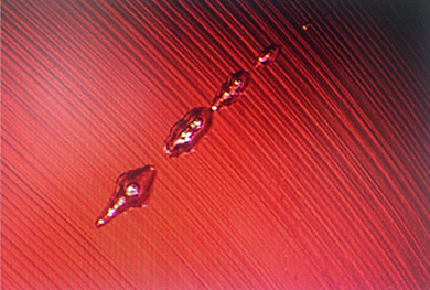 论“弧形生长纹”