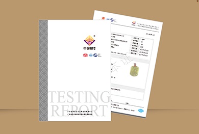 中诚检验报告