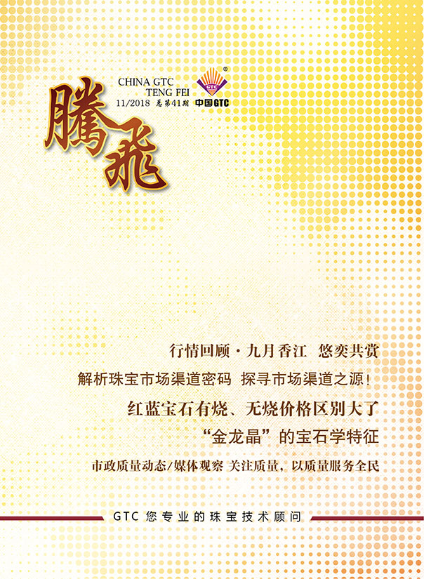 中国中诚《腾飞》内刊第41期