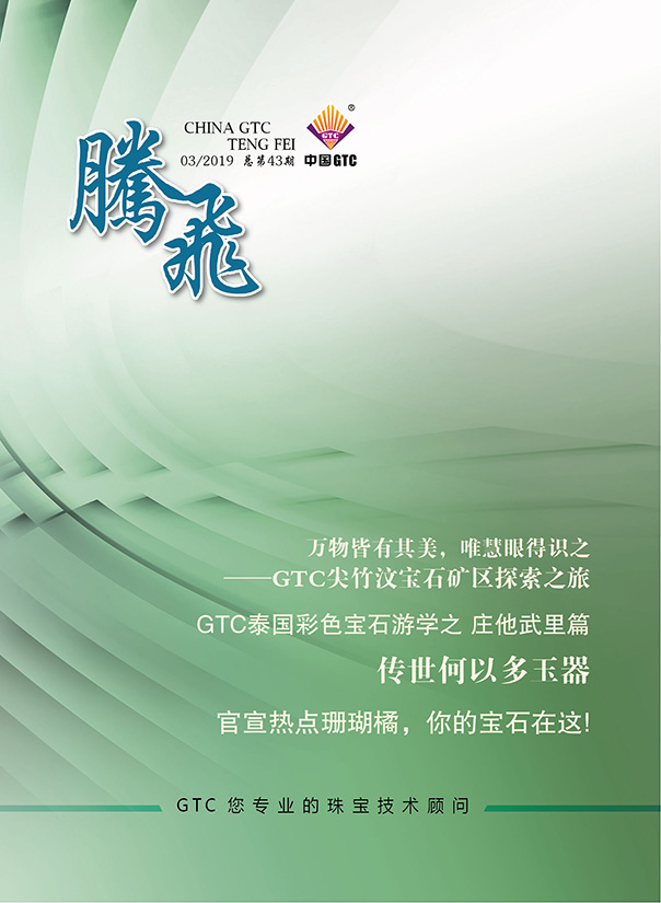 中国中诚《腾飞》内刊第43期