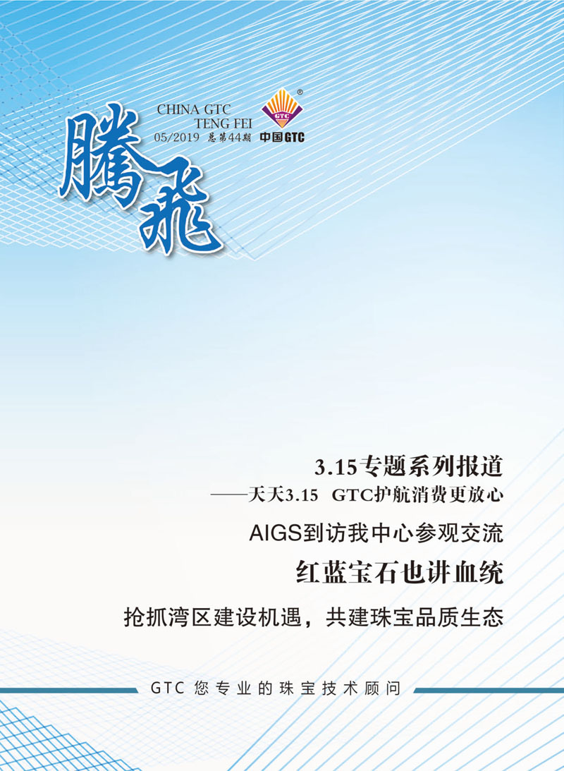 中国中诚《腾飞》内刊第44期