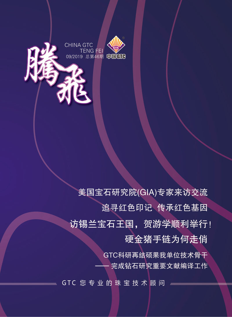 中国中诚《腾飞》内刊第46期