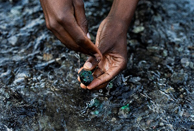 近期要闻丨2019年11月