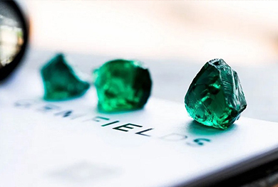 近期要闻丨2019年12月