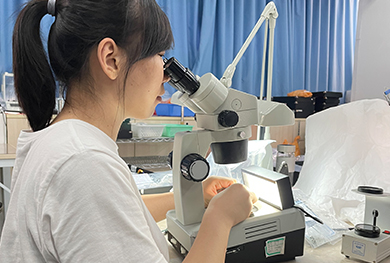 平凡中彰显不平凡 ——记华林实验室副主任沈莉华