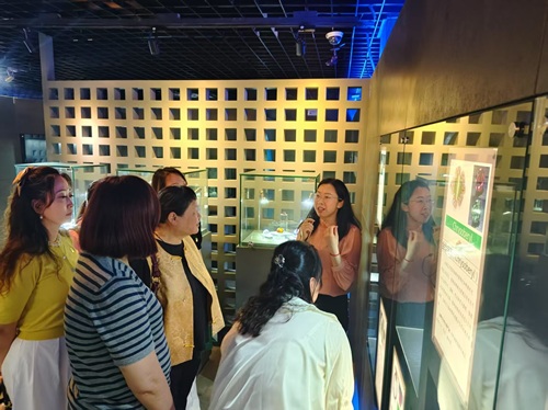 以党建为引领，普及科学知识，宝石之光点亮童心