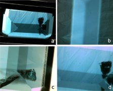 合成祖母绿鉴定案例分析1